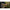 Minciog Fox Horizon X6 42" Carbon Landing Net (camo Mesh), 2 Tronsoane, 2.40m