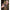 Minciog Fox Lever Lok Landing Nets 42 Inch, 180cm, 2seg