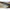 Minciog Fitofag Carp Expert Silver Carp Compact 90x90x90cm, Maner 105–180cm