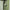Minciog Jrc Cocoon Landing Net, 107cm