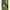 Minciog Telescopic Zebco Khaki Telescopic Landing Net, 2.00m