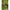 Minciog Telescopic Zebco Khaki Telescopic Landing Net, 2.00m