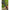Minciog Telescopic Zebco Latex Telescopic Landing Net, 2.60m