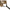 Minciog Trakker Sanctuary T12 Landing Net 2, 183cm