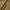 Minciog Trakker Sanctuary T12 Landing Net 2, 183cm