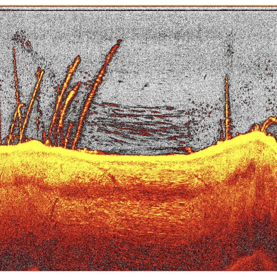 Navomodel Deeper Quest Pentru Nadit, Sonar Deeper Downscan Undervision (doar modulul Downscan)