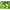 Momeala Lk Baits Cuc! Magic Nuts, Natural, 12uc/pac
