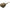 Momitor DAM Detek Pellet Feeder Elasticated 35g