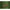 Momitor Drennan Flat Method Feeder In-line Small Loose Small 35gr