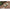 Momitor Ecologic Extra Carp Top Feeder 25G