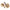 Momitor Feeder Concept Vegas Oval Large 80g