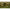 Momitor Lestat Feeder Guru X-change Cage Marime M 2buc/blister 20g Si 30g