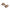 Momitor Method Filfishing Filex Pellet Feeder &amp; Conector 30g