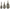 Momitor Preston ICS In-Line Banjo XR - Large 75G