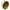 Monofilament Carp Academy Coax 25m 0.45mm