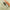 Montura Crap Orange Method Boat 50g, Nr.4