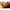 Montura Guru Feeder Carlig Lwgf, 8buc/rola Nr.16/0.13mm