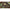 Montura  Korda Chod Rig Scurt Nr.10/20lb 3buc/pl