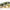 Montura Korda Hinge Rig Choddy, Barbless, Nr.8, 25lb, 1buc/pac