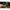 Montura Plumb Pierdut Korda Dark Matter Leader Qc Hybrid Clip, Weed, 30lbs, 1m