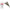 Montura Plumb Pierdut Trakker Leadcore Leadclip Leader, 75cm, 3buc/pac
