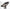 Motor Electric Haswing Cayman B 55 Lbs Trolling Motor