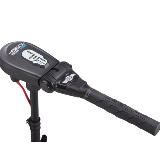 Motor Electric Haswing Protruar 1 Hp 65lbs Brushless