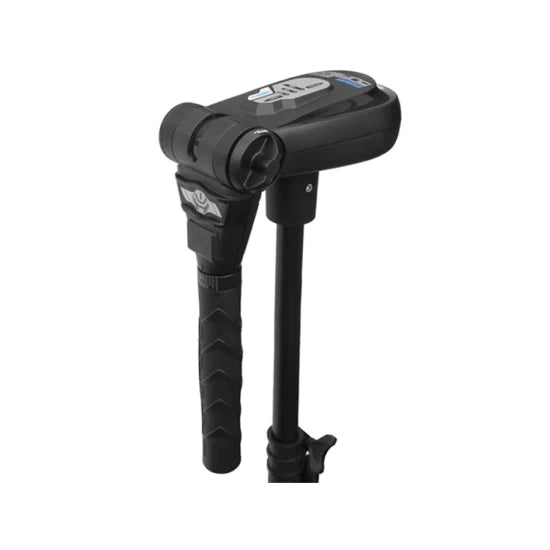 Motor Electric Haswing Protruar 2 Hp 85lbs Brushless