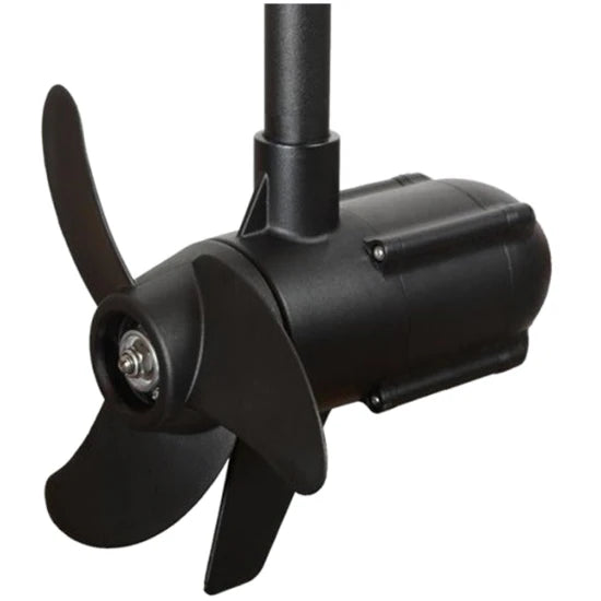 Motor Electric Haswing Protruar V2 1 Hp 65lb, Brushless