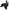 Motor Electric Haswing Protruar V2 1 Hp 65lb, Brushless