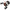 Mulineta Abu Garcia Revo 5 X Lp-l Casting Reel Right Hand