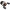 Mulineta Abu Garcia Revo 5 X-w Lp Casting Reel Left Hand