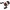 Mulineta Abu Garcia Revo 5stx-shs Low Profile Reel Left Hand