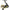 Mulineta Daiwa Crossfire Lt 2500 4bs A