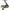 Mulineta Daiwa Crossfire LT 2500 4BS A