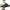 Mulineta Daiwa GS Bite N Run LT 4000