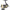 Mulineta Daiwa Legalis Lt1000d(u), 0.20mm/150m, 5.2:1, 5rul