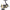 Mulineta Daiwa Legalis LT5000-C(U), 0.37mm/150m, 5.2:1, 5rul