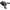 Mulineta Daiwa Multiplicator Morethan PE SV 8.1L TW