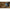 Mulineta Fl Strategist Tx 14000 Black Edition