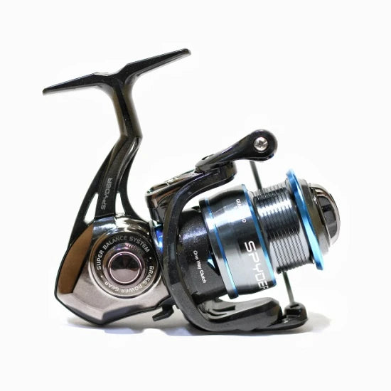Mulineta Fl Spyder 2000s