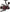 Mulineta Mitchell MX3LE Spinning Reel, 1000FD