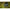 Mulineta Okuma Flite Surf 8000/3000/1500, 4.3:1, 9+1rul