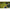Mulineta Okuma Flite Surf 8000/3000/1500, 4.3:1, 9+1rul