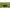 Mulineta Okuma Inspira Spin Isx C5000a, 5.2:1, 0.40mm/125m, 8+1rul