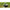 Mulineta Okuma Inspira Spin Isx C5000a, 5.2:1, 0.40mm/125m, 8+1rul