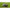 Mulineta Okuma Inspira Spin Isx C5000a, 5.2:1, 0.40mm/125m, 8+1rul