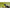 Mulineta Okuma Inspira Spin Isx C5000a, 5.2:1, 0.40mm/125m, 8+1rul