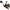 Mulineta Penn Battle Iv Spin Reel Box, 6000