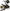 Mulineta PENN Battle IV Spin Reel Box, 8000